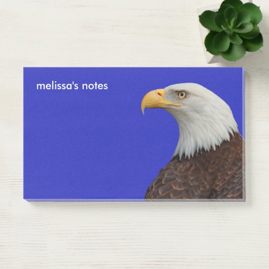 Verbluffend profiel van een volwassen balkadelaar post-it® notes (Kantoor)