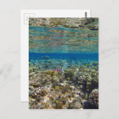 verbluffend rood zee briefkaart (Voorkant / Achterkant)