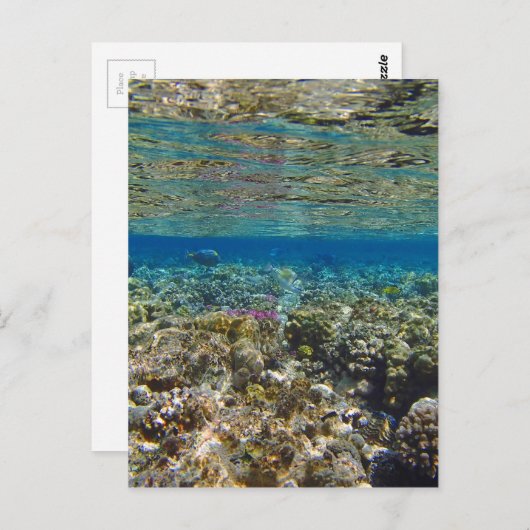 verbluffend rood zee briefkaart (Voorkant / Achterkant)