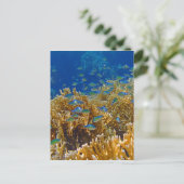 verbluffend rood zee briefkaart (Staand voorkant)