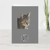 Verbluffend Tabby Cat Sluiten Portret Vector Kaart (Achterkant)