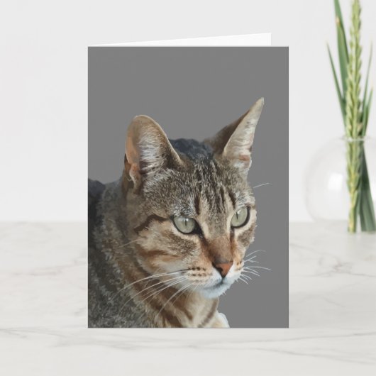 Verbluffend Tabby Cat Sluiten Portret Vector Kaart (Voorkant)