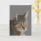 Verbluffend Tabby Cat Sluiten Portret Vector Kaart (Gele Bloem)