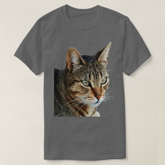 Verbluffend Tabby Cat Sluiten Portret Vector T-shirt (Design voorkant)