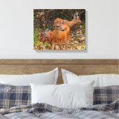 Verbluffend Trio van Blacktail Deer in het bos Canvas Afdruk (Insitu (Slaapkamer))
