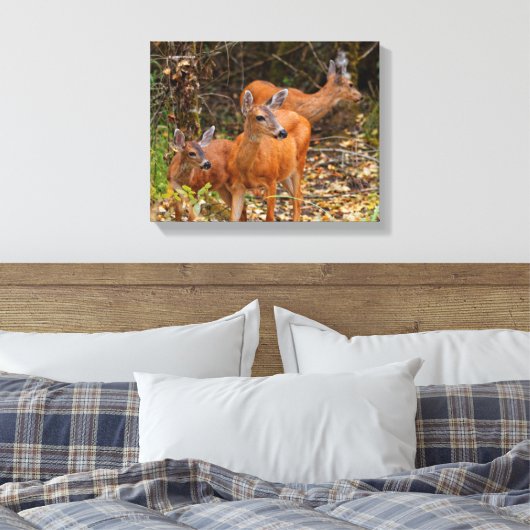 Verbluffend Trio van Blacktail Deer in het bos Canvas Afdruk (Insitu (Slaapkamer))
