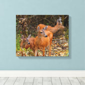 Verbluffend Trio van Blacktail Deer in het bos Canvas Afdruk (Insitu (Houten vloer))