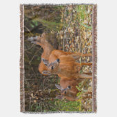 Verbluffend Trio van Blacktail Deer in het bos Deken (Voorkant Verticaal)