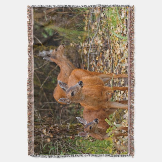 Verbluffend Trio van Blacktail Deer in het bos Deken (Voorkant Verticaal)