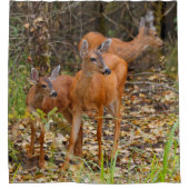 Verbluffend Trio van Blacktail Deer in het bos Douchegordijn (Voorkant)