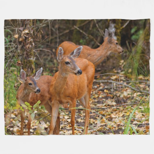 Verbluffend Trio van Blacktail Deer in het bos Fleece Deken (Voorkant (Horizontaal))