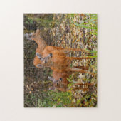 Verbluffend Trio van Blacktail Deer in het bos Legpuzzel (Verticaal)