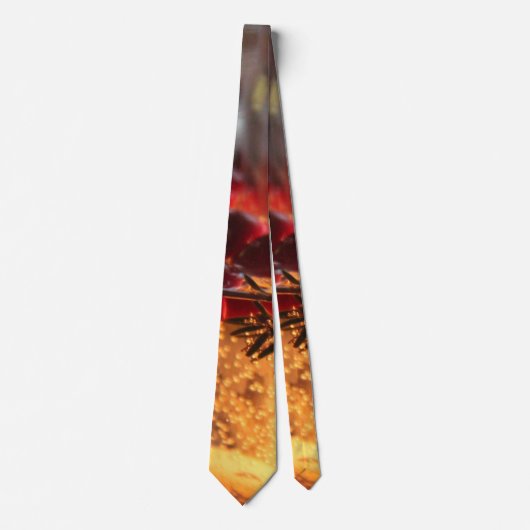 Verbluffend vakantiemodel stropdas (Voorkant)