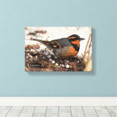 Verbluffend varend dwergzongvogel in de sneeuw canvas afdruk (Insitu (Houten vloer))