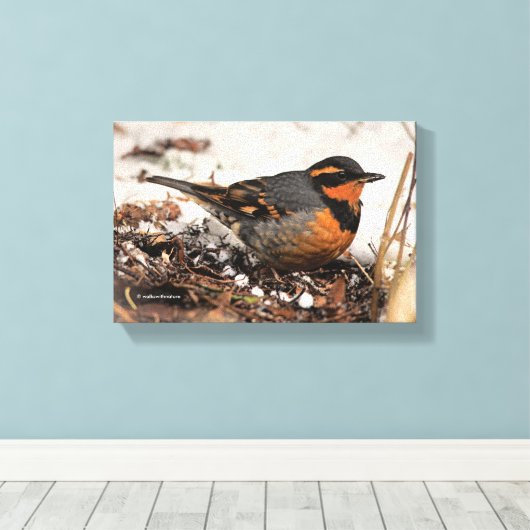 Verbluffend varend dwergzongvogel in de sneeuw canvas afdruk (Insitu (Houten vloer))