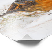 Verbluffend varend dwergzongvogel op zondag foto afdruk (Hoek)