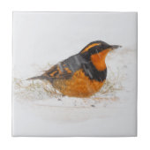 Verbluffend varend dwergzongvogel op zondag tegeltje (Voorkant)