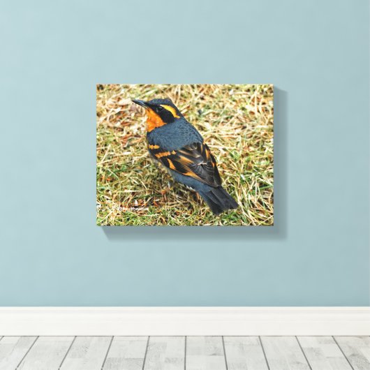 Verbluffend variabel spruitje op het gazon canvas afdruk (Insitu (Houten vloer))