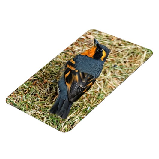 Verbluffend variabel spruitje op het gazon magneet (Linkerzijde)