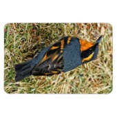 Verbluffend variabel spruitje op het gazon magneet (Horizontaal)