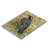 Verbluffend variabel spruitje op het gazon notitieboek (Linkerzijde)