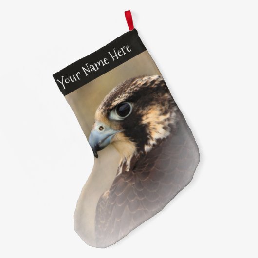 Verbluffend Vignetted Profiel van een Peregrine Fa Grote Kerstsok (Achterkant (Hangend))