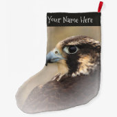 Verbluffend Vignetted Profiel van een Peregrine Fa Grote Kerstsok (Achterkant)