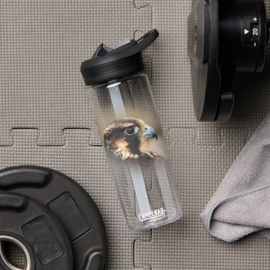 Verbluffend Vignetted Profiel van een Peregrine Fa Waterfles (Gym)