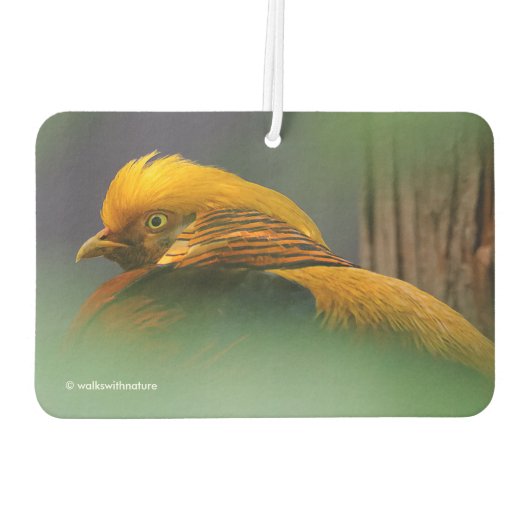 Verbluffend Vignetted Profile van een Golden Pheas Luchtverfrisser (Achterkant)