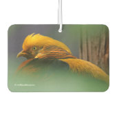 Verbluffend Vignetted Profile van een Golden Pheas Luchtverfrisser (Voorkant)