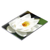 Verbluffend water met Gold Center Notitieboek (Linkerzijde)