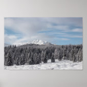 Verbluffend winterlandschap poster (Voorkant)
