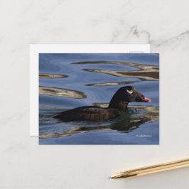 Verbluffend witwashandje op Pier's rand Briefkaart