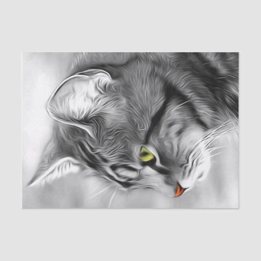 Verbluffend zwart-wit, keukenkat-ontkoppelingstaal tissuepapier (Voorkant)