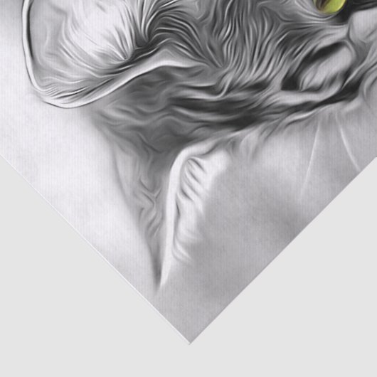 Verbluffend zwart-wit, keukenkat-ontkoppelingstaal tissuepapier (Detail)