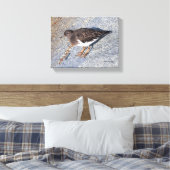 Verbluffend zwarte kalksteen Shorebird op Rock Canvas Afdruk (Insitu (Slaapkamer))