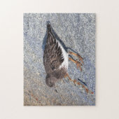 Verbluffend zwarte kalksteen Shorebird op Rock Legpuzzel (Verticaal)