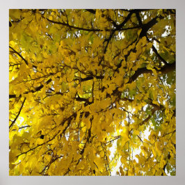 Verbluffende Abstracte kunst in de herfst van de b Poster