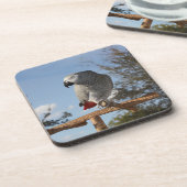 Verbluffende Afrikaanse grijze papegaai Bier Onderzetter (Linkerzijde)