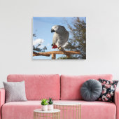 Verbluffende Afrikaanse grijze papegaai Canvas Afdruk (Insitu (Woonkamer))
