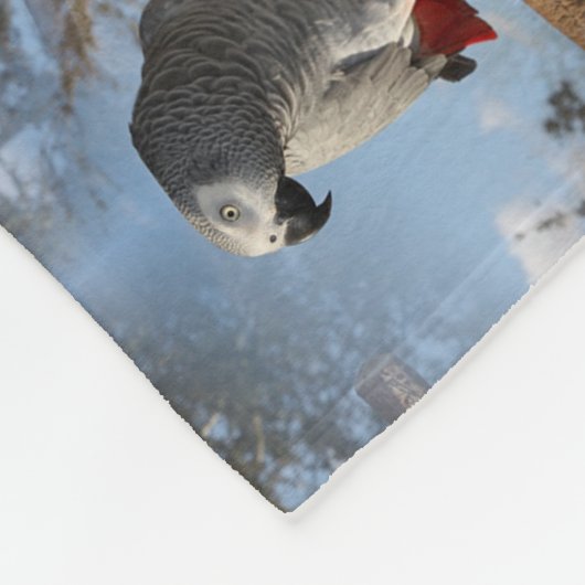 Verbluffende Afrikaanse grijze papegaai Fleece Deken (Hoek)