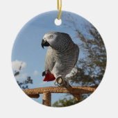 Verbluffende Afrikaanse grijze papegaai Keramisch Ornament (Voorkant)