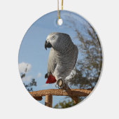 Verbluffende Afrikaanse grijze papegaai Keramisch Ornament (Links)