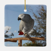 Verbluffende Afrikaanse grijze papegaai Keramisch Ornament (Achterkant)