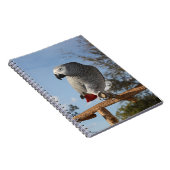 Verbluffende Afrikaanse grijze papegaai Notitieboek (Rechterzijde)