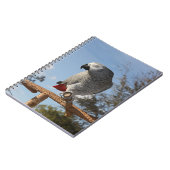 Verbluffende Afrikaanse grijze papegaai Notitieboek (Linkerzijde)