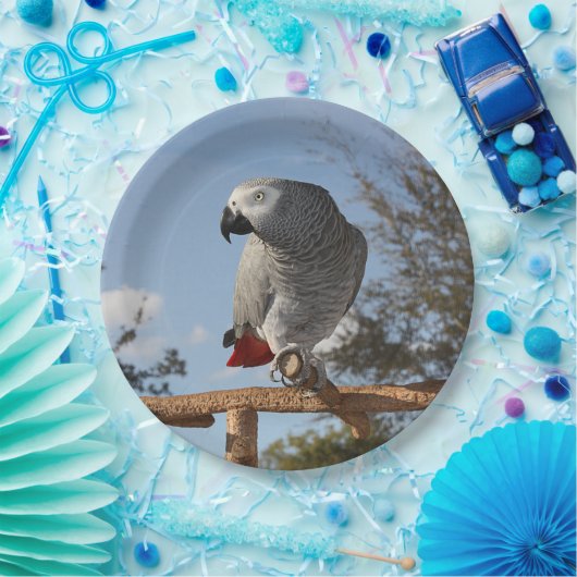 Verbluffende Afrikaanse grijze papegaai Papieren Bordje (Feest)