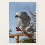 Verbluffende Afrikaanse grijze papegaai Planner (Achterkant)