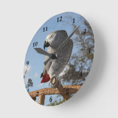 Verbluffende Afrikaanse grijze papegaai Ronde Klok (Hoek)