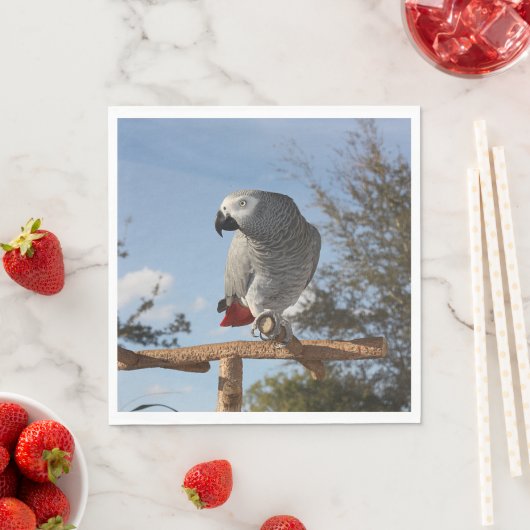 Verbluffende Afrikaanse grijze papegaai Servetten (Insitu)